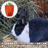 EsiFare Pasture Storage Rabbit, Cute, Fabric Grass Feeder, No Mess,