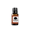 Northridge Oak - Patchouli - 100% Pure Essential Oil