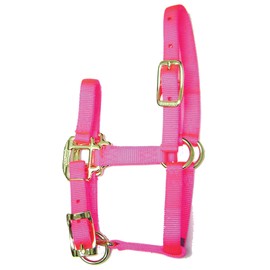 Hamilton 3/4-Inch Adjustable Quality Horse Halter, Pony or Average Miniature Donkey, Hot Pink