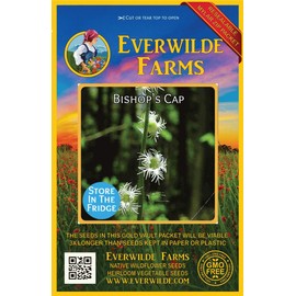 Everwilde Farms - 200 Bishop's Cap Native Wildflower Seeds - Gold Vault Jumbo Seed Packet