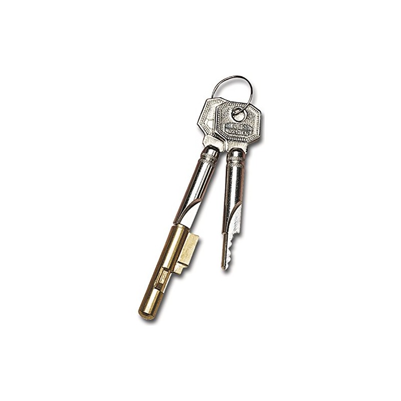 Burg Wächter Keys E7 – Verschiedensperrend Supplied with 2 Keys