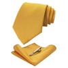 JEMYGINS Mens Silk Tie & Tie Clips & Pocket Bar