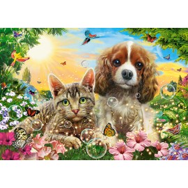 CASTORLAND 500 Piece Jigsaw Puzzle, Best Pals, Cats and Dogs, Animal Puzzle, Sweety Puppy and Kitten, Adult Puzzle, Castorland B-53728