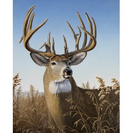 David Textiles Deer Portrait JQ0109 18 Point Buck Panel 36 X 44 Inch Cotton Fabric
