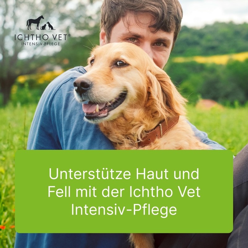 Ichtho vet Derma Gel by Heel Vet - Gentle and