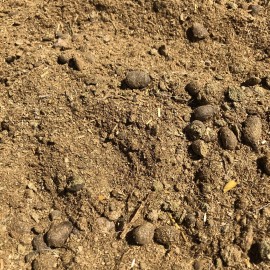 Buddy’s Berries© Aged/Shredded Goat Fertilizer Natural Organic Manure  *3 Lbs.* water soluble