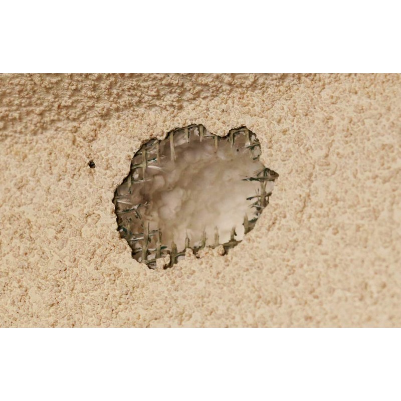 Bird Banisher Woodpecker Deterrent & Bird Scare Device