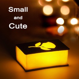 GREENIC LED Night Light Lamp with Timer, AAA Battery Operated Book Light for Desk, Table, Bedroom, Living Room Decor, Birthday, Wedding, Party Decorations, Warm White