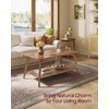 VASAGLE Coffee Table, 2-Tier Living Room Table with Storage, Center