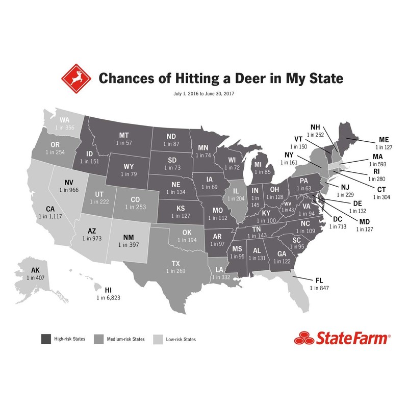 Car Deer Alert/Auto Deer Whistle Horn - Portable Electronic Whistles