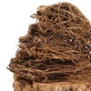 Domestic thistle root 300g 2 pieces Daegyegeun dried thistle root