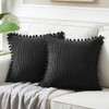 Fancy Homi Pack of 2 Black Decorative Throw Pillow Covers