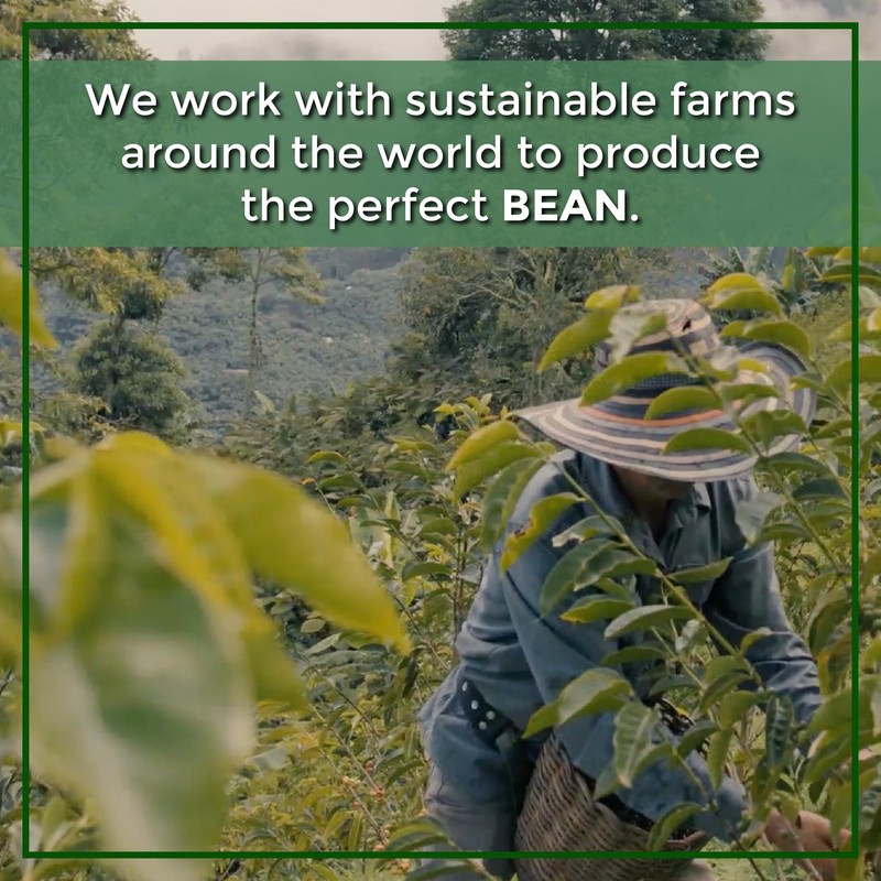 The Bean Organic Coffee Company, Aloha Bean (Hawaiian Hazelnut), Medium