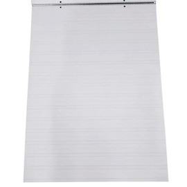 Casafoyer School Smart Chart Tablet, 24 x 32 in, 25 Sheets, 1-1/2 in Skip Line - Case of 2(Combo)