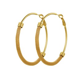 Gold Earrings for Women Chic Gold Jewellery Earings Chunky Gold Earrings women Gold Hoops Earings Jewelry