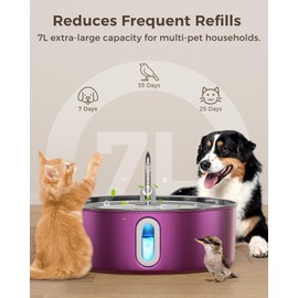 Smartoo Dog Water Fountain for Large Dogs 7L/236oz Stainless Steel Dog Water Bowl Dispenser Automatic Pet Water Fountain, Multi-Filtration Pet Fountain with Ultra-Quiet Pump (Pink)