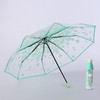36 Inch Transparent Clear Folding Umbrella with Cherry Blossom for