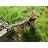 Mynwood Cat Jacket/Harness Green Combat Adult Cat