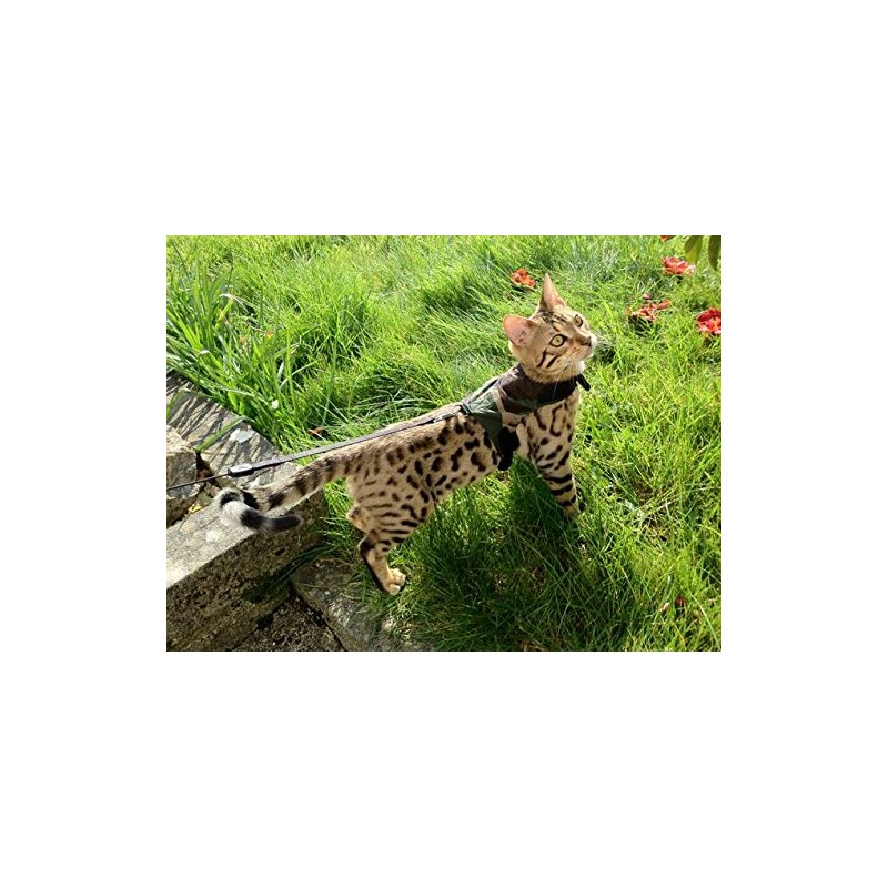 Mynwood Cat Jacket/Harness Green Combat Adult Cat