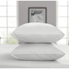 Threadmill Home Linen Queen Pillowcases - Certified 100% Egyptian Cotton