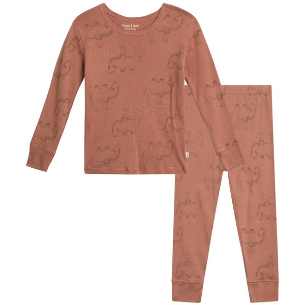 Rene Rofe Toddler Boys' Pajama Set - 2 Piece Snug