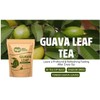 Guava Tea Bags, Dried Tender Leaves Tea, 30 Count, Pleasant