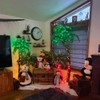 LIGHTSHARE Lighted Palm Tree, 5FT, Green Leaves and Lights
