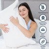 Pillowtex King Size Firm Premium Polyester Pillow | Great for