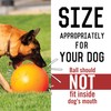 Doggie Dooley B00CIT99BC Virtually Indestructible Best Ball (hard plastic, colors