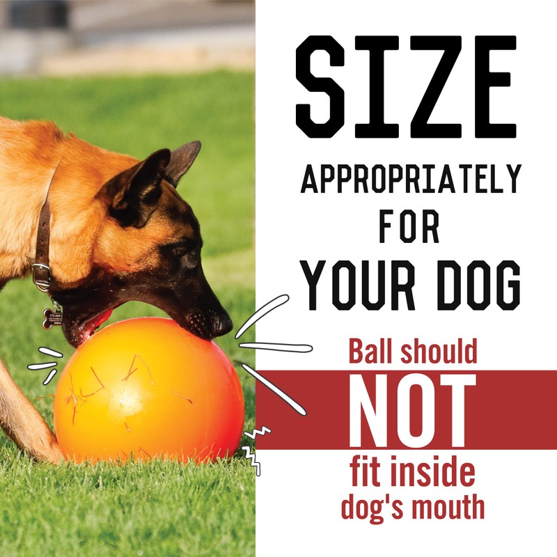 Doggie Dooley B00CIT99BC Virtually Indestructible Best Ball (hard plastic, colors