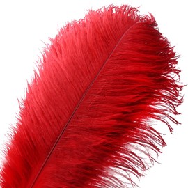 VoilaLove 20pcs Natural Ostrich Feather Craft 10-12inch(25-30cm) Plume for Wedding Centerpieces Home Decoration (Red)