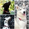 Reaction Martingale Collar For Dogs | Gentle Nylon & Steel