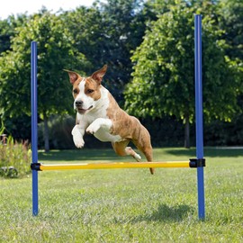 Petprime Dog Agility Training Course Equipment Professional, Adjustable Height Hurdle for Dogs, Dog Agility Kit Hoop Jump Obstacle Outdoor, Puppy Agility Course Backyard Set, 3.8ft High/3.6ft Wide