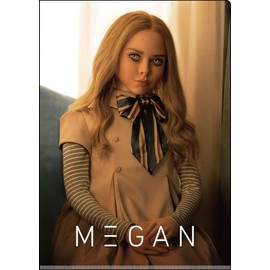 M3GAN/W Pocket Clear File IG4168