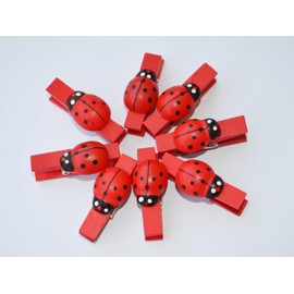 C.X.Y. 48 Wooden Clothes Pegs with Ladybird for Labelling Places, Sealing Packages, Use as Gadgets
