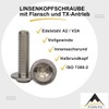 AGBERG - M4 x 16 Rounded Head Screws with Flange