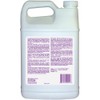 Pour-N-Restore Concrete And Masonry Stain Remover