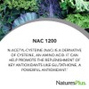 Natures Plus PRO NAC 1200 mg - 60 cápsulas -