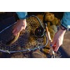 Greys Fin Fly Fishing Reel | Large Arbor Fly Reel