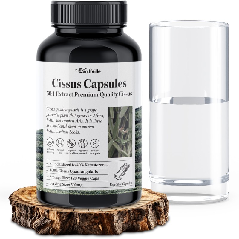 Earthville Cissus pill 50 times highly concentrated extract 120 capsules,