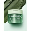 Isntree Mugwort Calming Deep Cleansing Balm 100ml / 이즈앤트리 머그워트