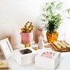 AVLA 20 Pack Cake Boxes with Window, 10 Inch Bakery