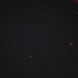 Cajun Injector 22174.01601 Creole Garlic Marinade