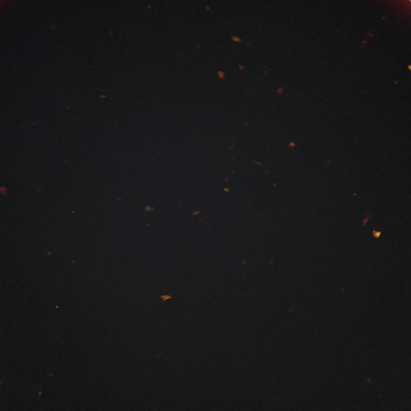 Cajun Injector 22174.01601 Creole Garlic Marinade