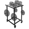 FEBTECH Dumbbell Stand & Weight Plate Tree – Steel Dumbbell