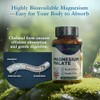 Best Immune Natural Magnesium Malate 500 mg Increased Bioavailability 100