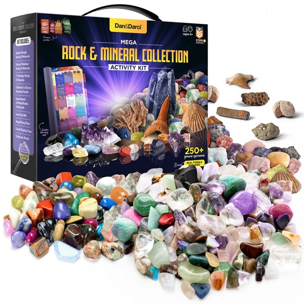 Dan&Darci Rock Collection for Kids - Includes 250+ Bulk Rocks,