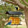 winemana winemana Outdoor Wild Bird Feeder, Black Small Hanging with