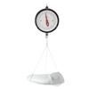 YILIKISS 10KG/ 22LBS Double-Sided Dial Mechanical Hanging Scale, Large Display