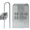 Asyusyu Heavy Duty 12 Inch Metal Tent Stakes,12 Pack Galvanized